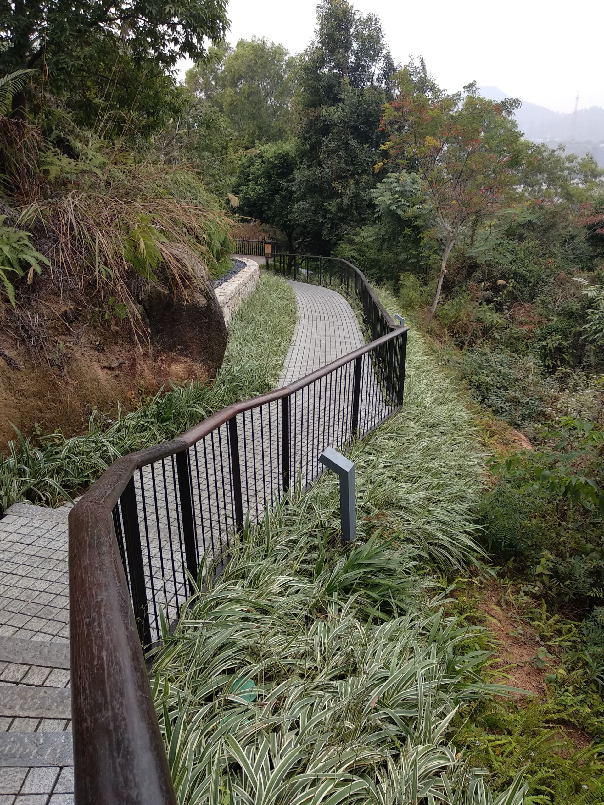 分享一下自己在深圳西丽生态公园拍的照片