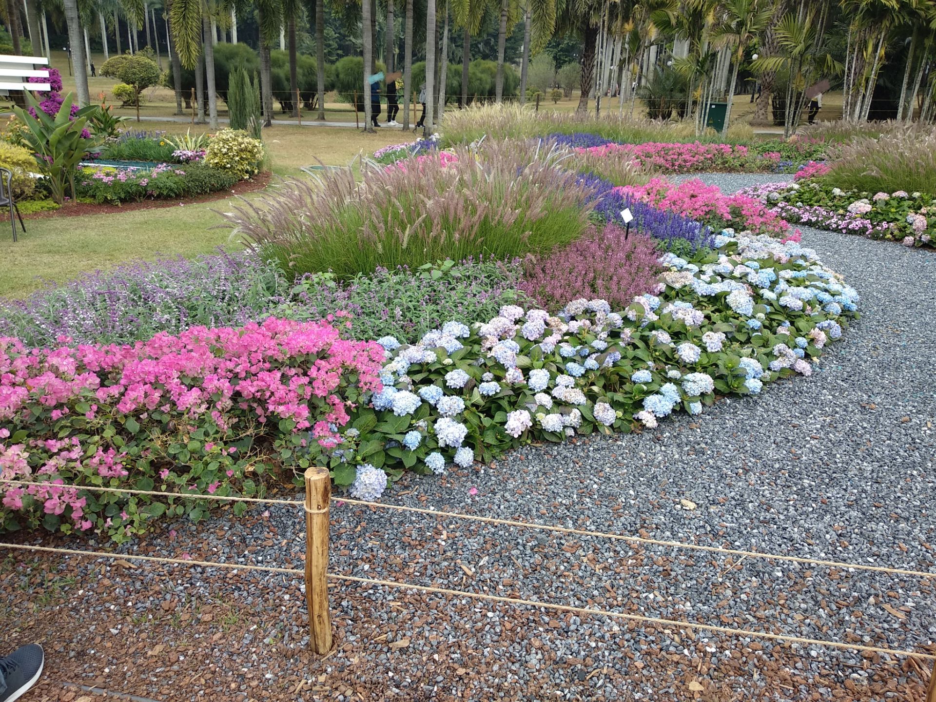 2020深圳莲花山公园