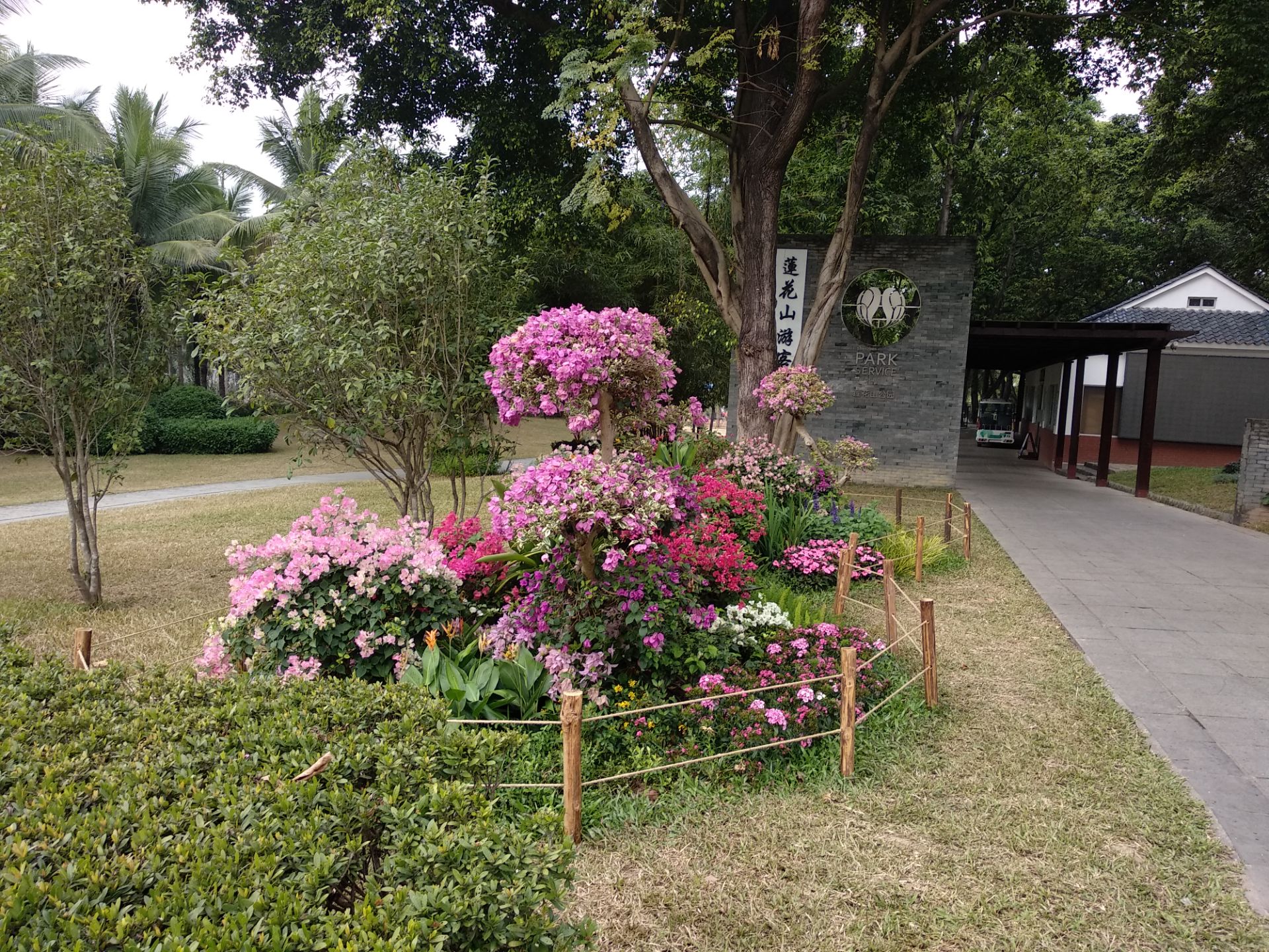 2020深圳莲花山公园