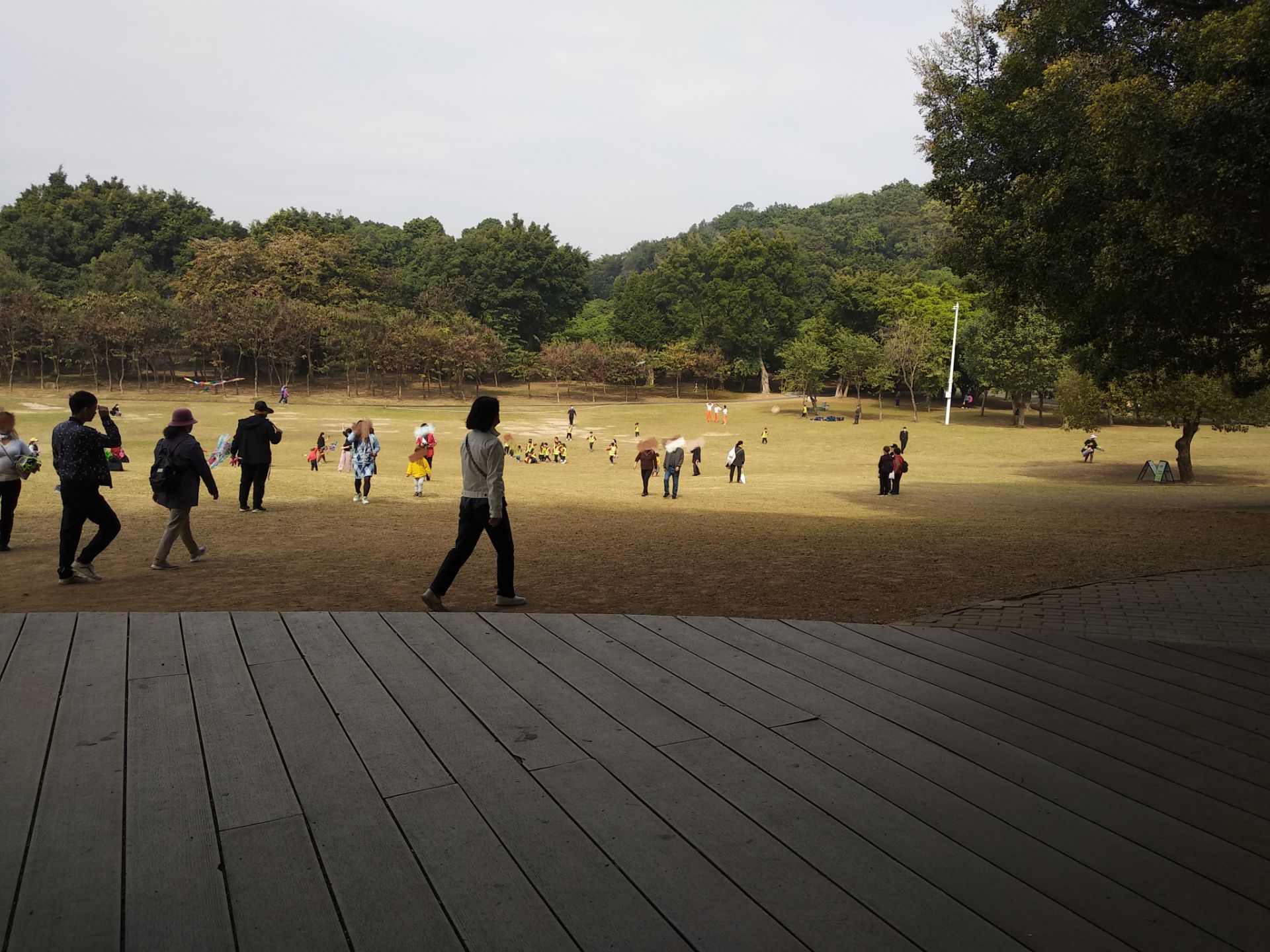 2020深圳莲花山公园