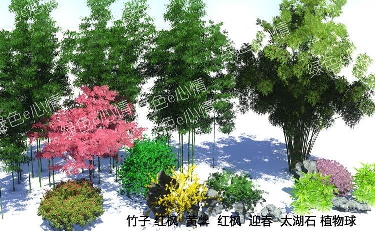 lumion植物素材-银杏桂花樱花紫薇海棠香樟黑松罗汉松水杉-20230510